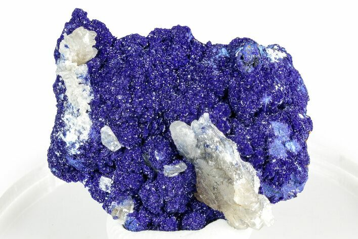 Cerussite Crystals on Sparkling Azurite - Congo #346136